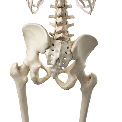 Back Pain Caused by Hip Misalignment - Can Pelvic Problems Cause Hip Pain?