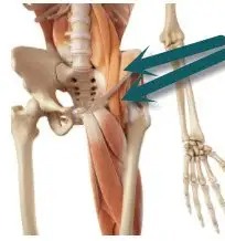 Tight Hip Flexors Can Cause Lower Back Pain Knee Pain And Foot Pain - Tight Hip Flexors Can Cause Lower Back Pain, Knee Pain, And Foot Pain